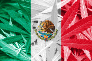 Legal cannabis in Mexico