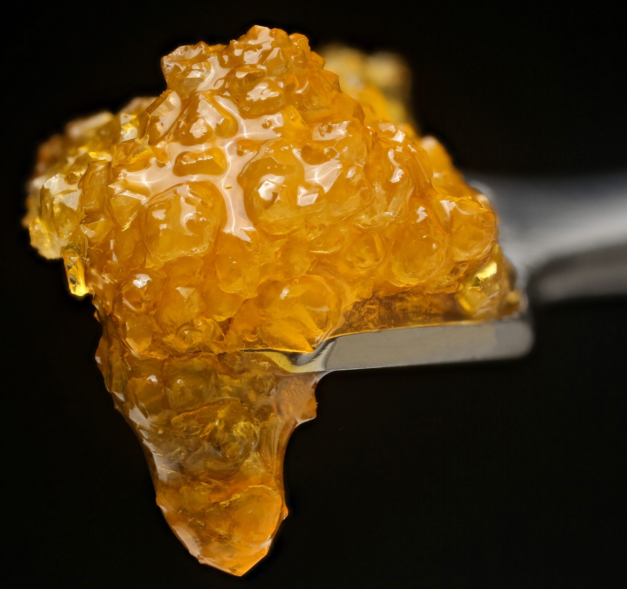 Cannabis concentrate sugar wax dripping off dabbing tool on black background