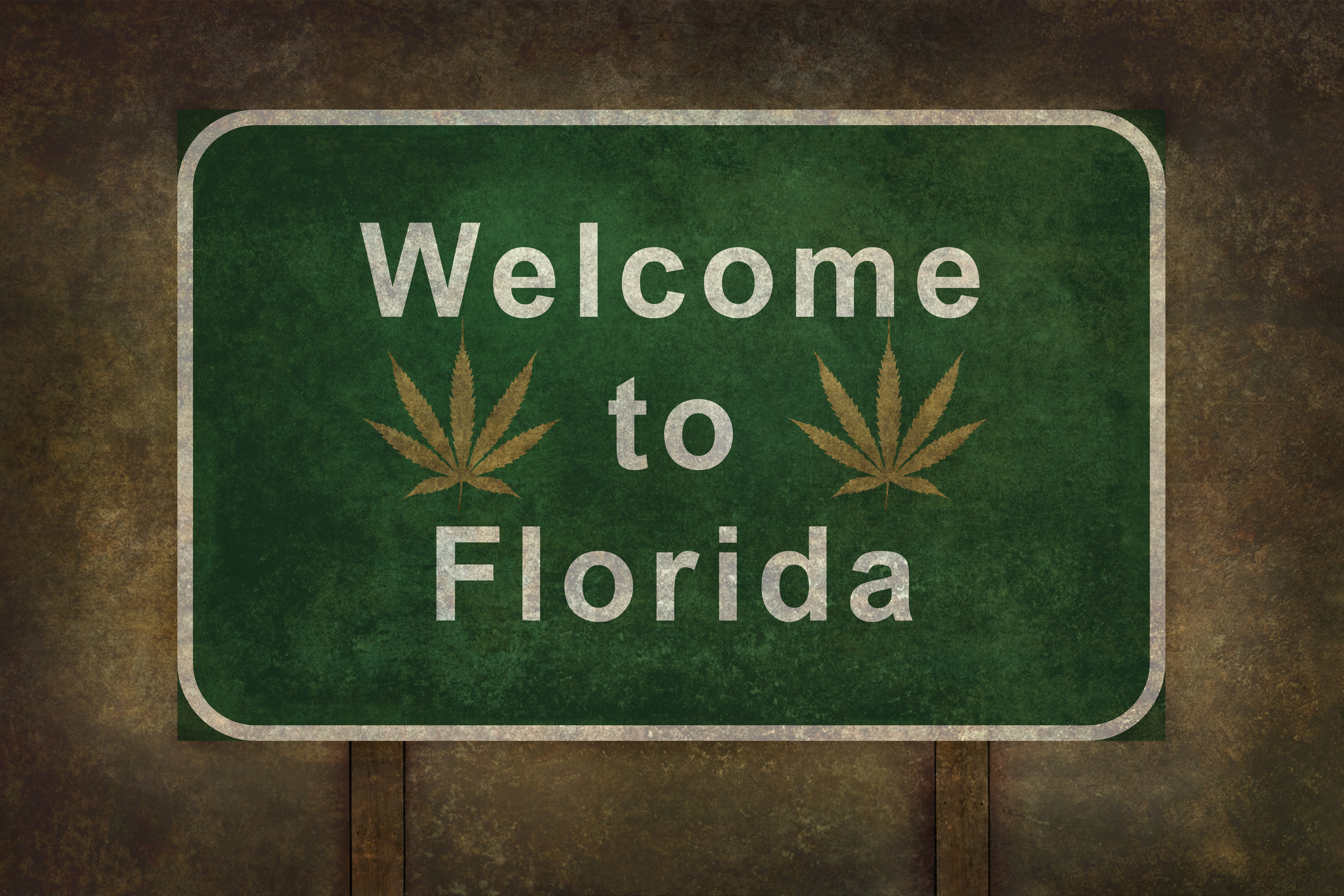 Florida to Vote on Cannabis